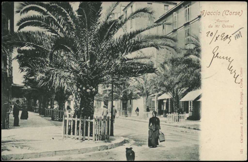 Ajaccio, Avenue du Premier Consul