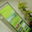 Zimmerpflanze, Blumentopf, Text, Wand, Pflanze, Im Haus, Blume
