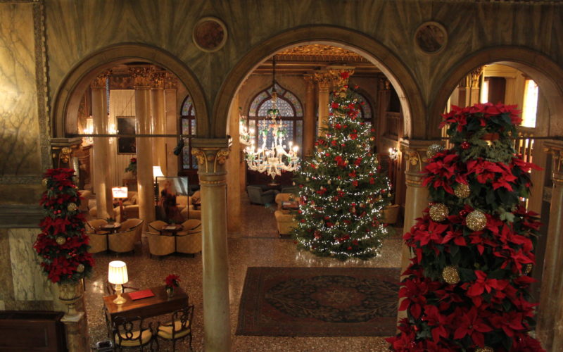 Weihnachtsbaum, Im Haus, Inneneinrichtung, Weihnachtsdekoration, Heiligabend, Ornament, Christbaumschmuck, Weihnachtslichter, Wand, Zimmer, Boden, Decke, Dekoriert, Blume, Weihnachten