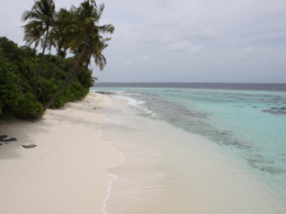 draußen, Tropen, Himmel, Wolke, Palme, Karibik, Wasser, Küsten- und Ozeanlandschaft, Baum, Küste, Natur, Strand, Gewässer, Riff, Palmen, Meer, Sandbank, Meeresbucht, Insel, Gelände, Urlaub