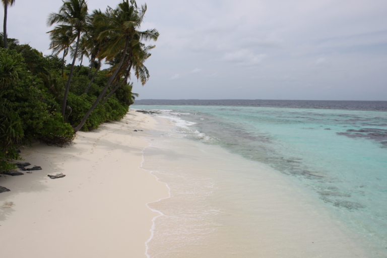 draußen, Tropen, Himmel, Wolke, Palme, Karibik, Wasser, Küsten- und Ozeanlandschaft, Baum, Küste, Natur, Strand, Gewässer, Riff, Palmen, Meer, Sandbank, Meeresbucht, Insel, Gelände, Urlaub