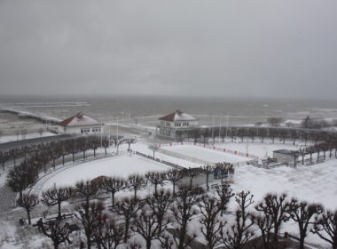 draußen, Himmel, Wolke, Winter, Gefrieren, Baum, Schnee, Natur, Bedeckt, Landschaft