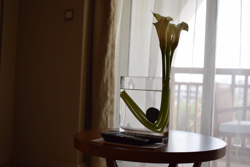 Im Haus, Vase, Mobiliar, Zimmerpflanze, Fenster, Blume, Wand, Blumentopf, Kernstück, Ikebana, Glas, Tisch, Pflanze, Sitzen