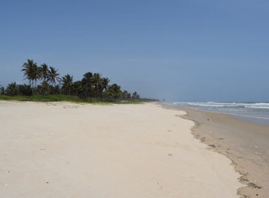 draußen, Himmel, Baum, Strand, Natur, Sand, Tropen, Küste, Karibik, Küsten- und Ozeanlandschaft, Umwelt, Singender Sand, Sandbank, Gelände, Riff, Meer, Wasser, Landschaft, sandig