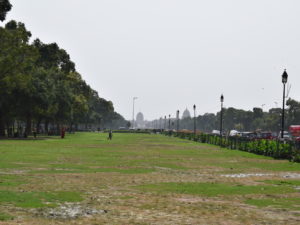 draußen, Gras, Himmel, Baum, Pflanze, Grundstück, Feld, Park, Landschaft, Saftig, Reise