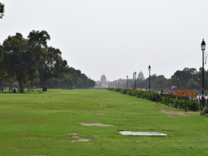 Gras, draußen, Himmel, Baum, Golf, Pflanze, Grundstück, Feld, Rasen, Landschaftsgestaltung, Flachland, Landschaft, Park