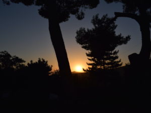 Himmel, draußen, Pflanze, Baum, Hinterleuchtung, Silhouette, Sonnenaufgang, Sonnenlicht, Abend, Morgen, Sonnenuntergang, Nadelbaum, Ökozone, Natur, Sonne, Landschaft