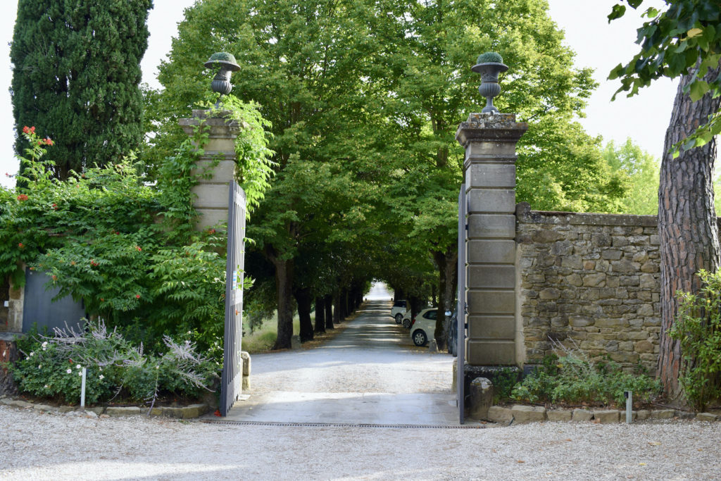 draußen, Baum, Pflanze, Himmel, Gebäude, Landschaftsgestaltung, Gelände, Stein, Park, Straße, Garten