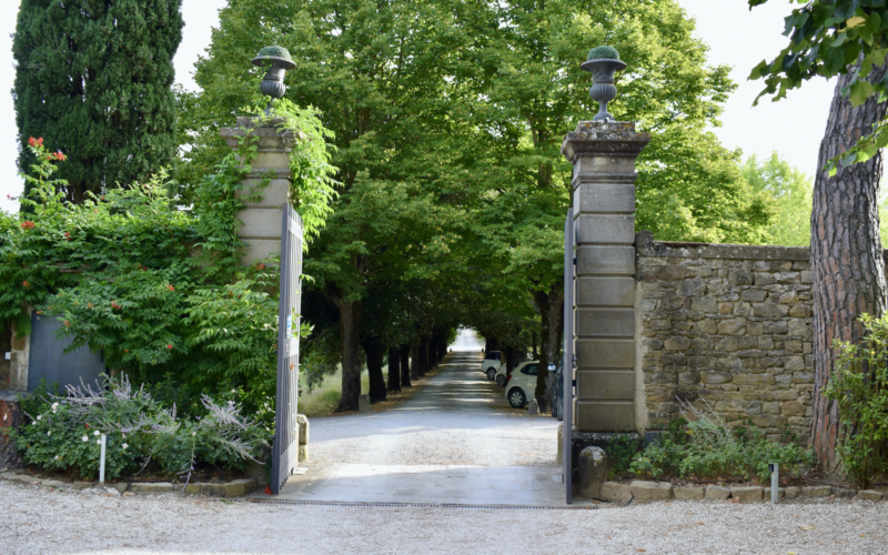 draußen, Baum, Pflanze, Himmel, Gebäude, Landschaftsgestaltung, Gelände, Stein, Park, Straße, Garten