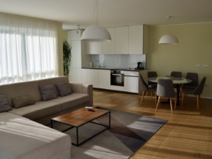 Im Haus, Wand, Inneneinrichtung, Boden, Tisch, Zimmer, Couch, Studiocouch, Kaffeetisch, Bude, Wohnzimmer, Decke, Haushaltsgerät, Bettsofa, Fensterabdeckung, Fußboden, Fensterausstattung, Möbel, Stuhl, Laminatboden, Kleines Sofa, Holzboden, Kissen, Penthouse, Haus, Eigentum, Fenster, Wohnung, Mobiliar