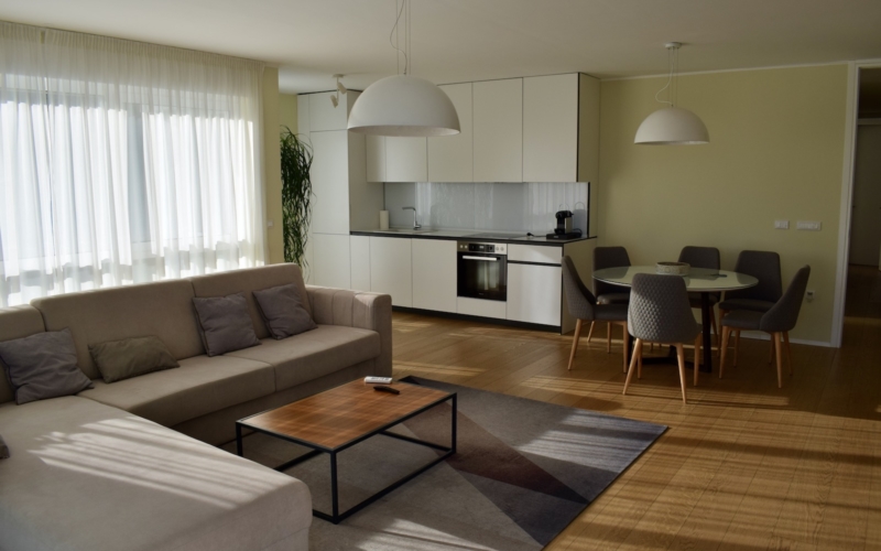 Im Haus, Wand, Inneneinrichtung, Boden, Tisch, Zimmer, Couch, Studiocouch, Kaffeetisch, Bude, Wohnzimmer, Decke, Haushaltsgerät, Bettsofa, Fensterabdeckung, Fußboden, Fensterausstattung, Möbel, Stuhl, Laminatboden, Kleines Sofa, Holzboden, Kissen, Penthouse, Haus, Eigentum, Fenster, Wohnung, Mobiliar