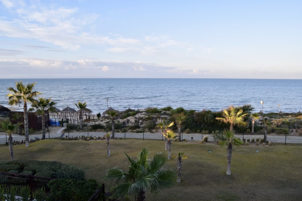 draußen, Wolke, Himmel, Küste, Palme, Tropen, Strand, Palmen, Natur, Wasser, Karibik, Gras, Meer, Gelände, Urlaub, Pflanze, Landschaft, Baum