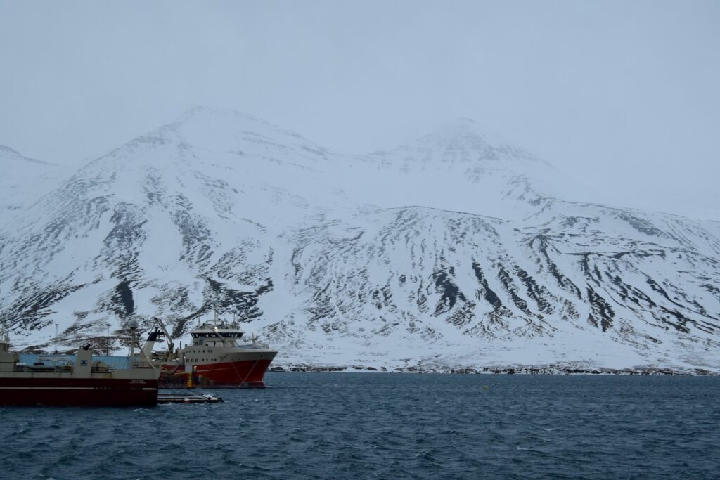 draußen, Wasser, Schnee, Boot, Himmel, Berg, Winter, Glazialmorphologie, See, Wasserfahrzeug, Natur, Schiff, Landschaft, Fjord