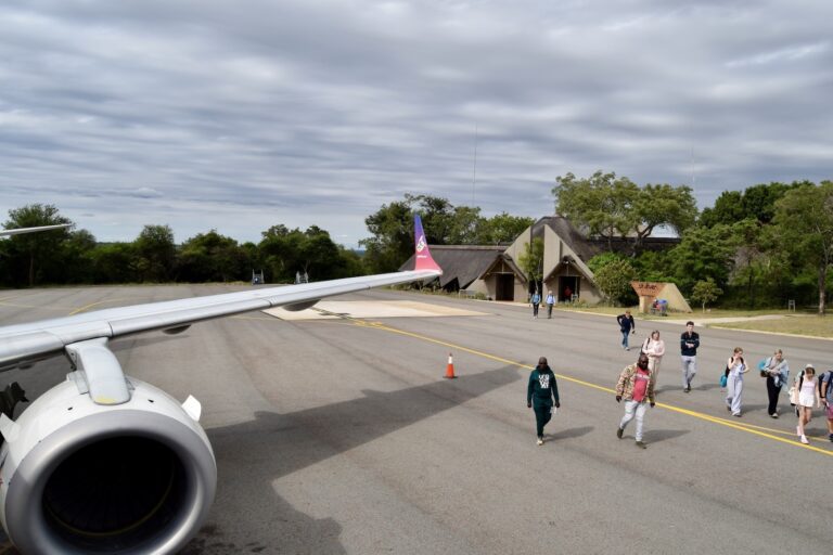 draußen, Himmel, Platane Flugzeug Hobel, Straße, Wolke, Flugzeug, Flugreise, Baum, Luftfahrt, Düsenflugzeug, Gelände, Menschen, Luftfahrthersteller, Fahrzeug, Asphalt, Jet, Gruppe, Groß, Flugschau