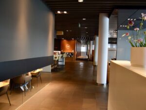 Im Haus, Mobiliar, Boden, Decke, Stuhl, Inneneinrichtung, Wand, Vase, Empfangshalle, Zimmerpflanze, Blume, Fußboden, Esstisch, Tisch, Zimmer, Hotel