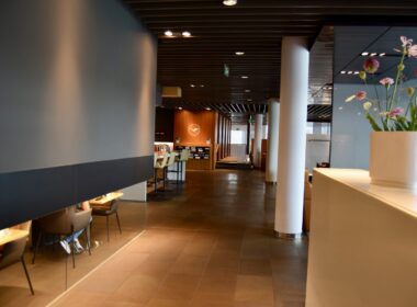 Im Haus, Mobiliar, Boden, Decke, Stuhl, Inneneinrichtung, Wand, Vase, Empfangshalle, Zimmerpflanze, Blume, Fußboden, Esstisch, Tisch, Zimmer, Hotel