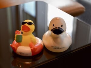 Spielzeug, Gummiente, Babyspielzeug, Cartoon, Im Haus, Vogel