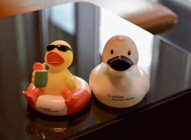 Spielzeug, Gummiente, Babyspielzeug, Cartoon, Im Haus, Vogel