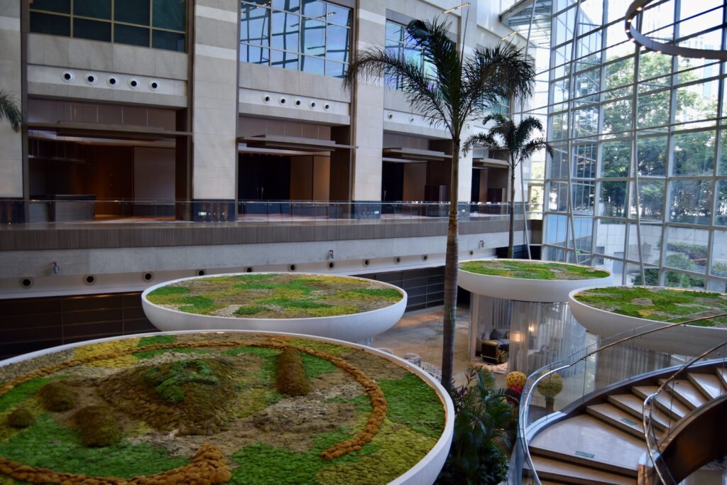 Gebäude, Zimmerpflanze, Fenster, Hof, draußen, Pflanze, Groß, Garten, Im Haus, Architektur