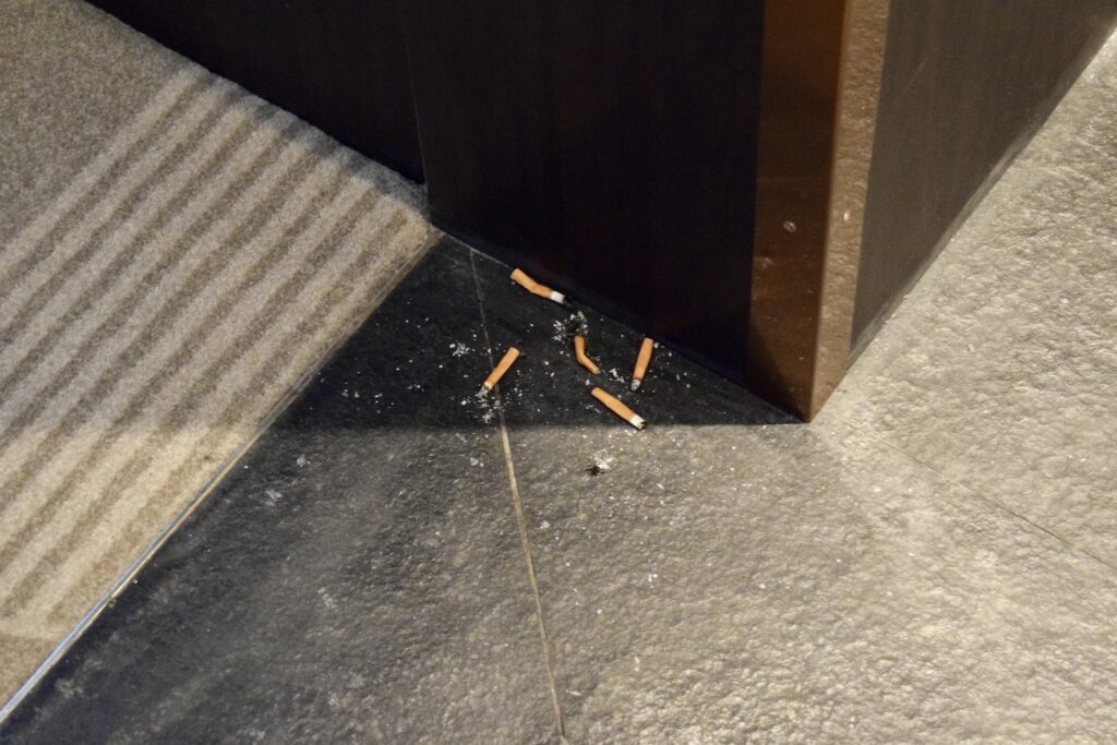 Gelände, Wirbellose, Insekt, Reihe, Tier, draußen, Straße