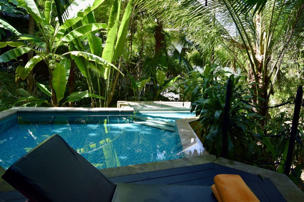 Baum, draußen, Schwimmbecken, Urlaubsort, Palme, Pool, Wasser, Kurort, Palmen, Urlaub, Pflanze