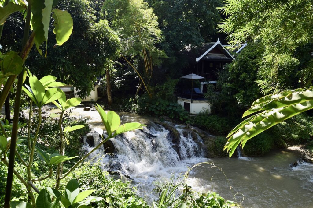 Baum, draußen, Wasserfall, Frühling, Wasser, Dschungel, Wasserlauf, Vegetation, Natur, Garten, Pflanze
