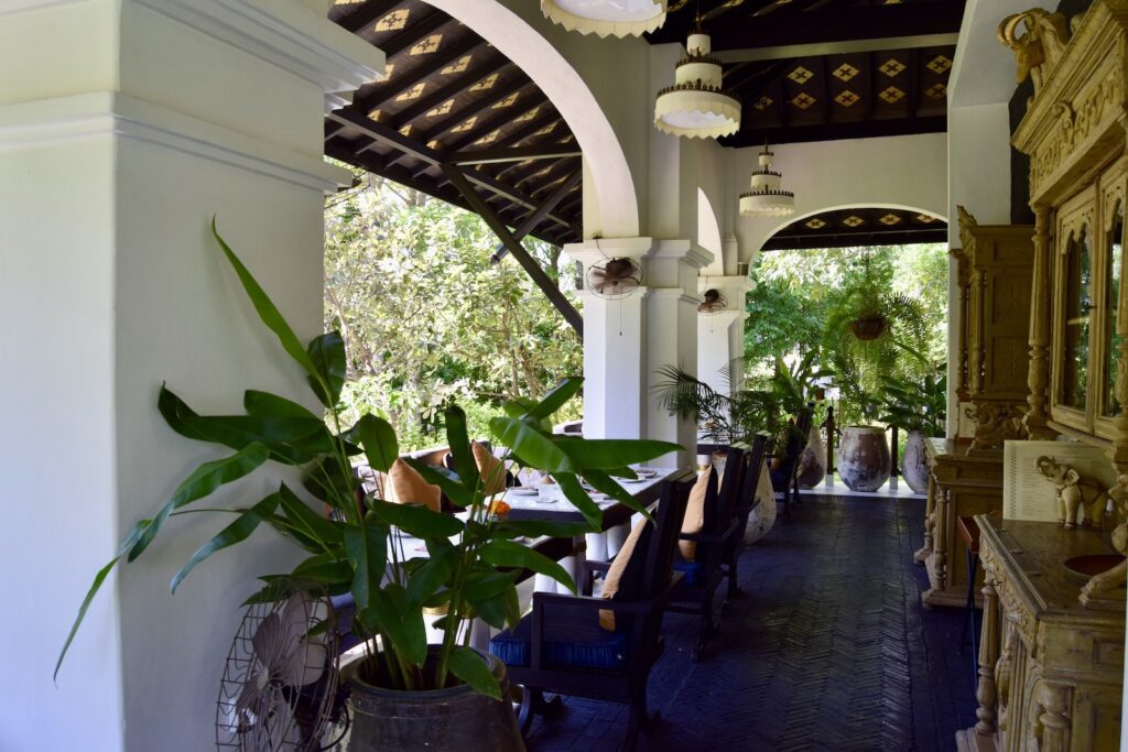 Zimmerpflanze, Mobiliar, Blumentopf, Tisch, Vase, draußen, Gebäude, Pflanze, Decke, Veranda, Im Haus, Stuhl