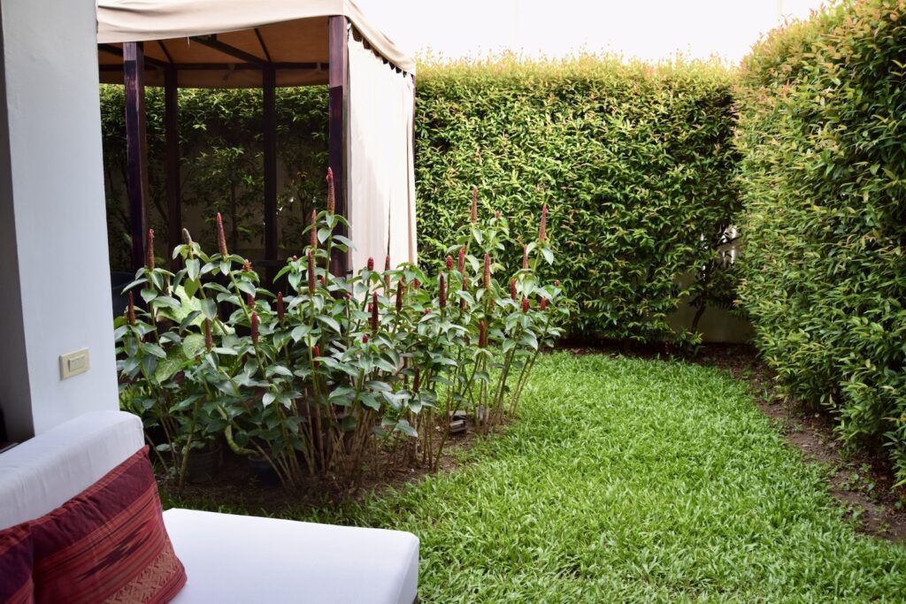 draußen, Gras, Busch, Garten, Landschaftsgestaltung, Hof, Hecke, Zimmerpflanze, Gebäude, Bodendecker, Pflanze, Haus