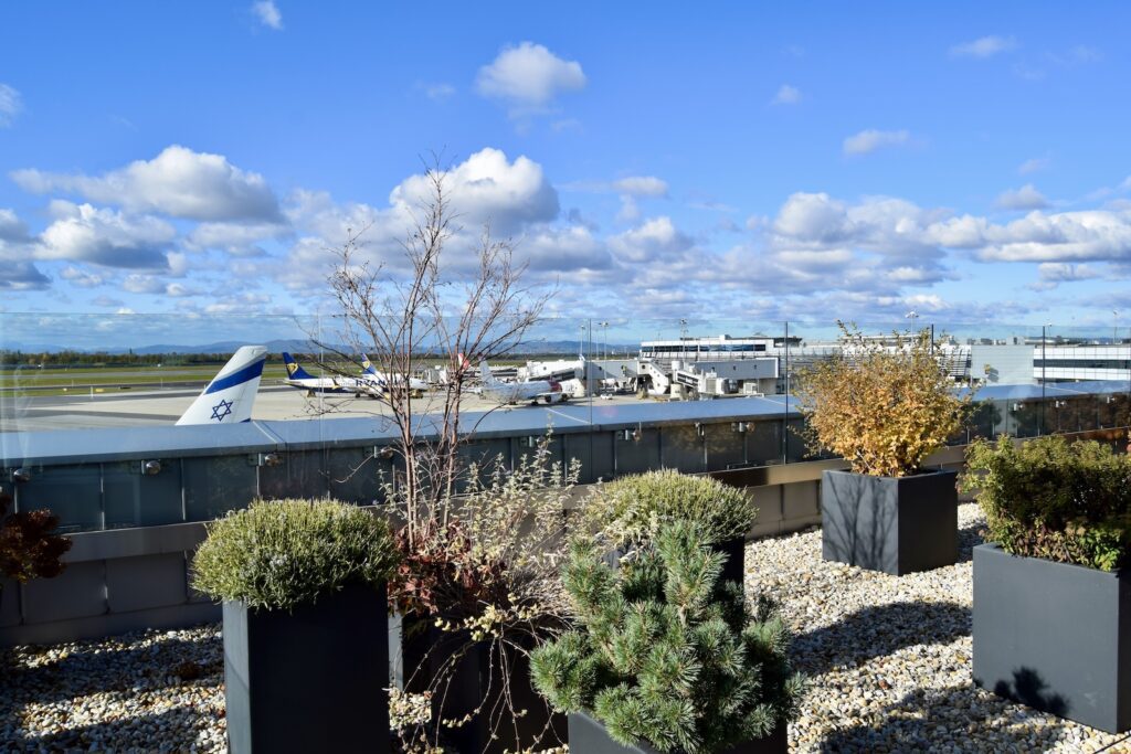 draußen, Wolke, Himmel, Pflanze, Wasser, Gelände, Platane Flugzeug Hobel